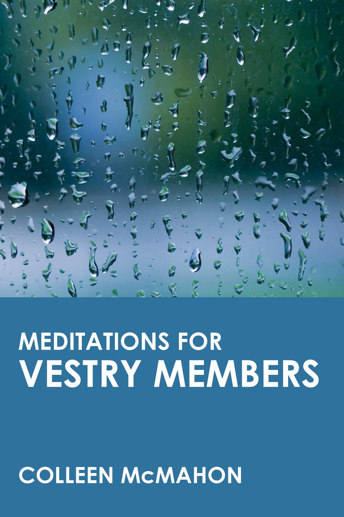 Cover image for Meditations for Vestry Members, isbn: 9780819217899