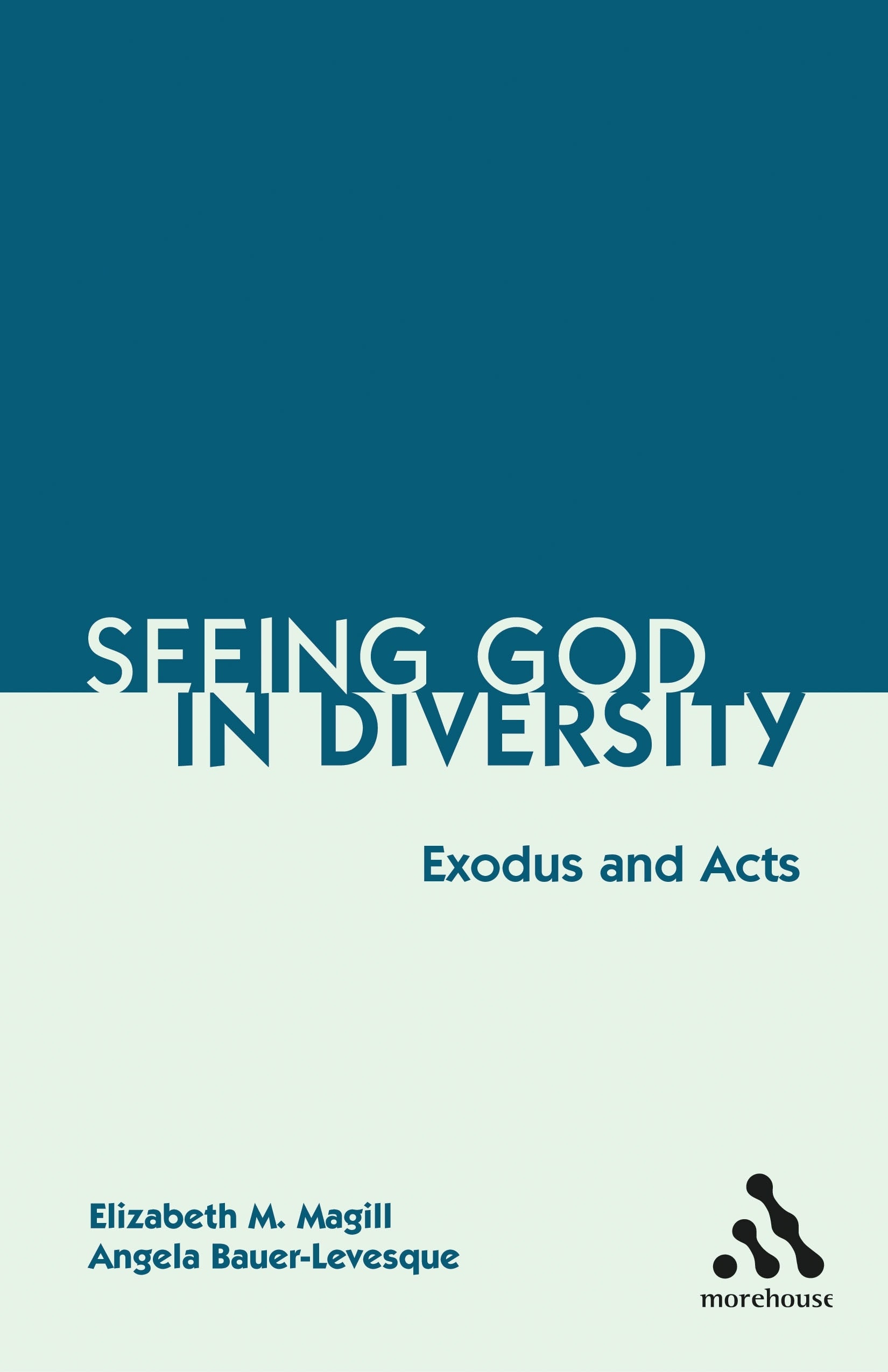 Cover image for Seeing God in Diversity, isbn: 9780819221605