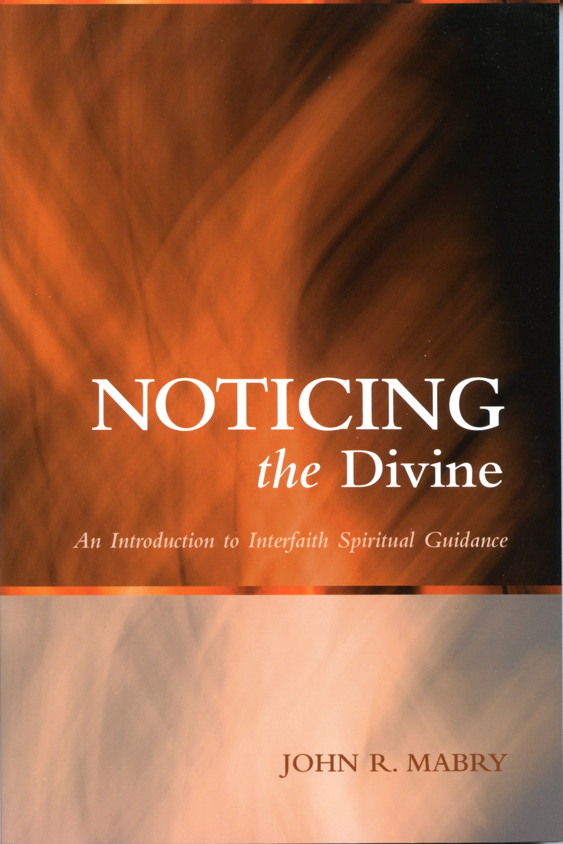 Cover image for Noticing the Divine, isbn: 9780819222381