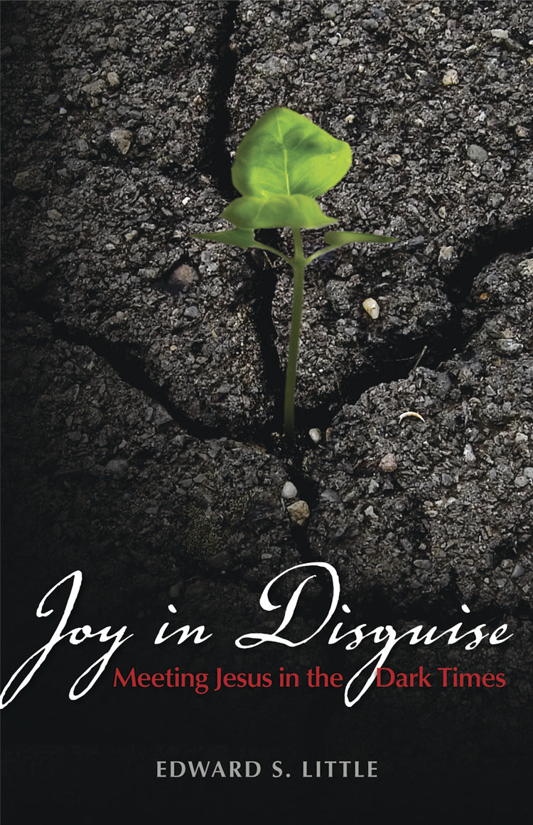 Cover image for Joy in Disguise, isbn: 9780819223289
