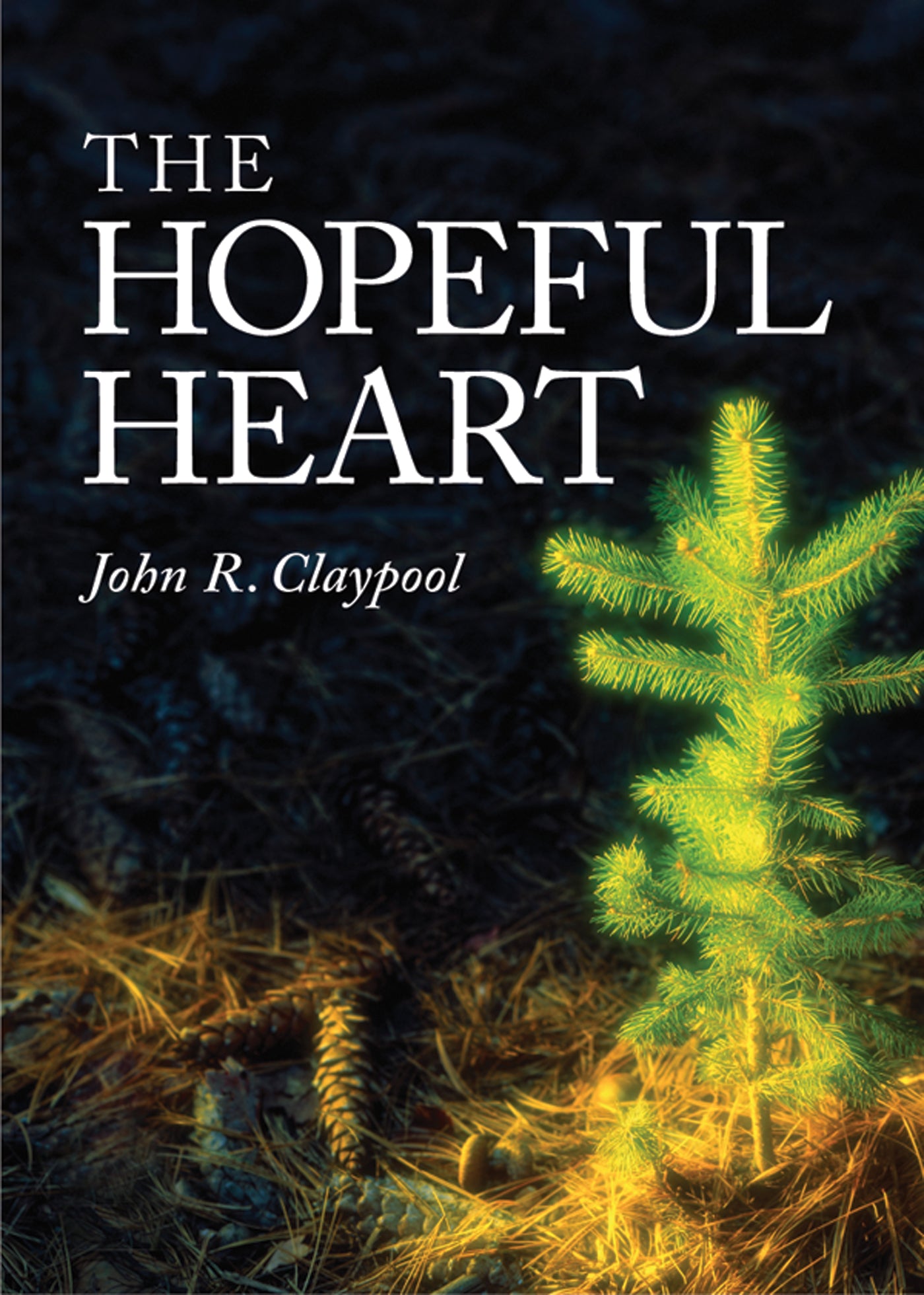 Cover image for The Hopeful Heart, isbn: 9780819225689