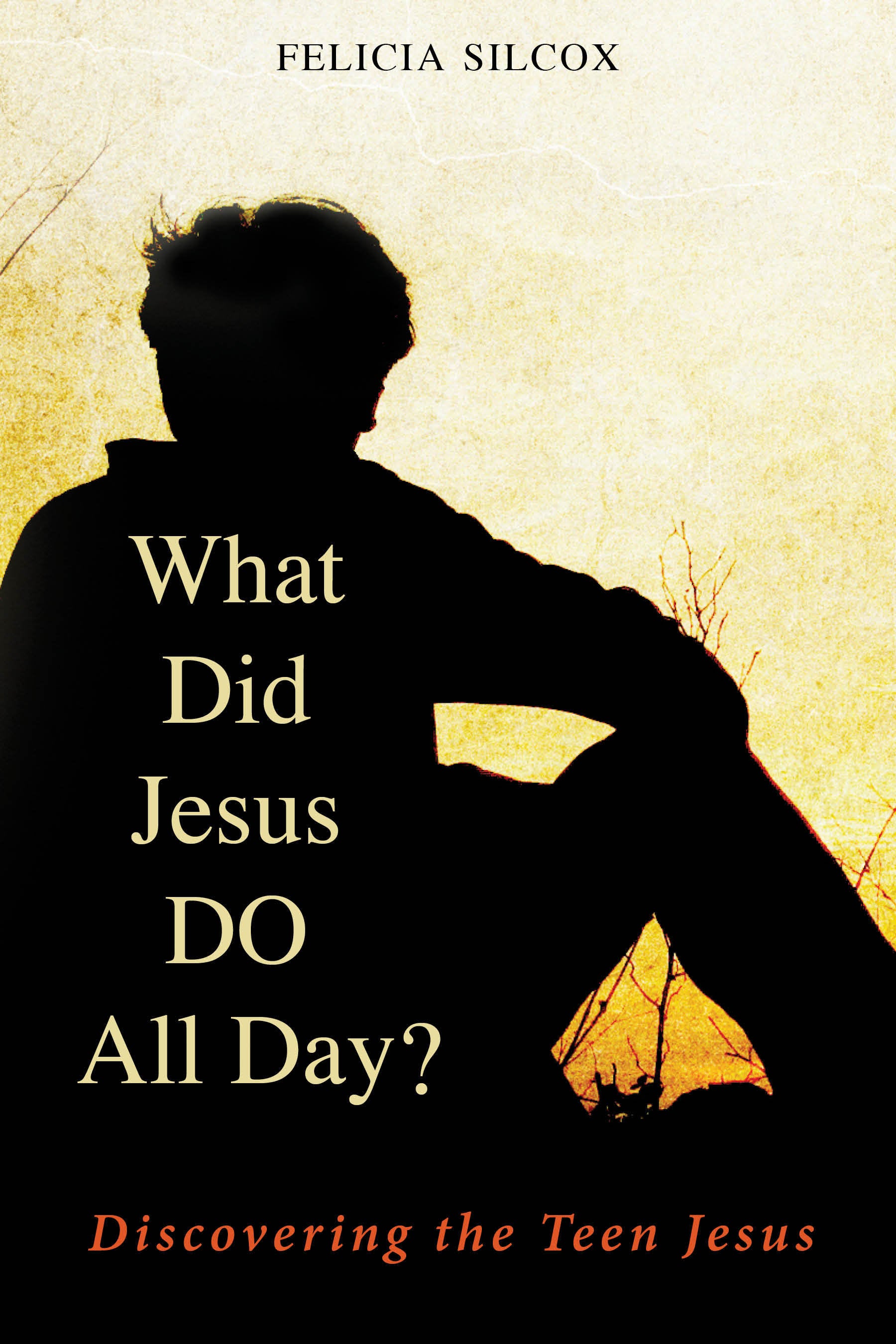 Cover image for What Did Jesus DO All Day?, isbn: 9780819227942