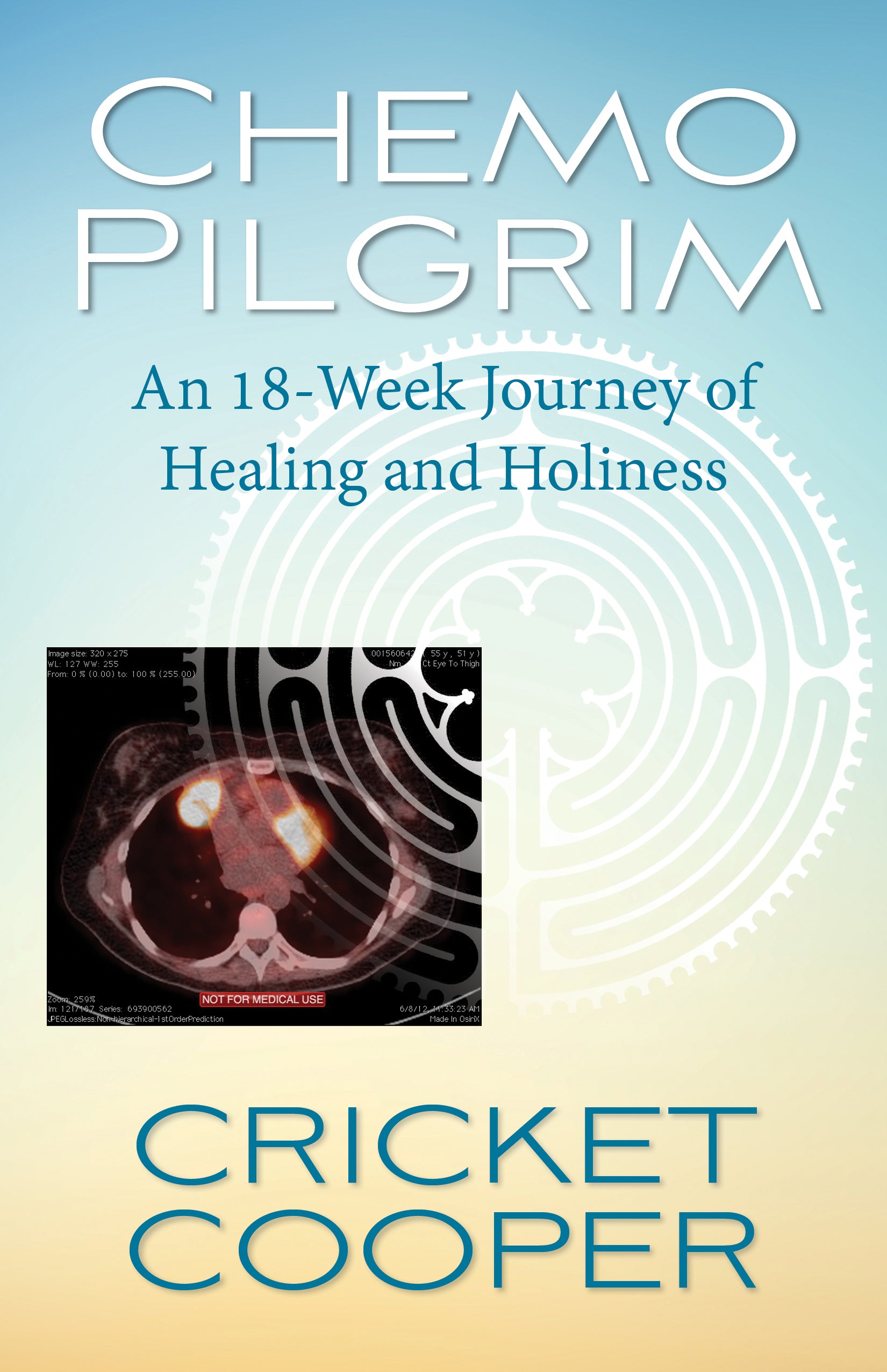 Cover image for Chemo Pilgrim, isbn: 9780819233134