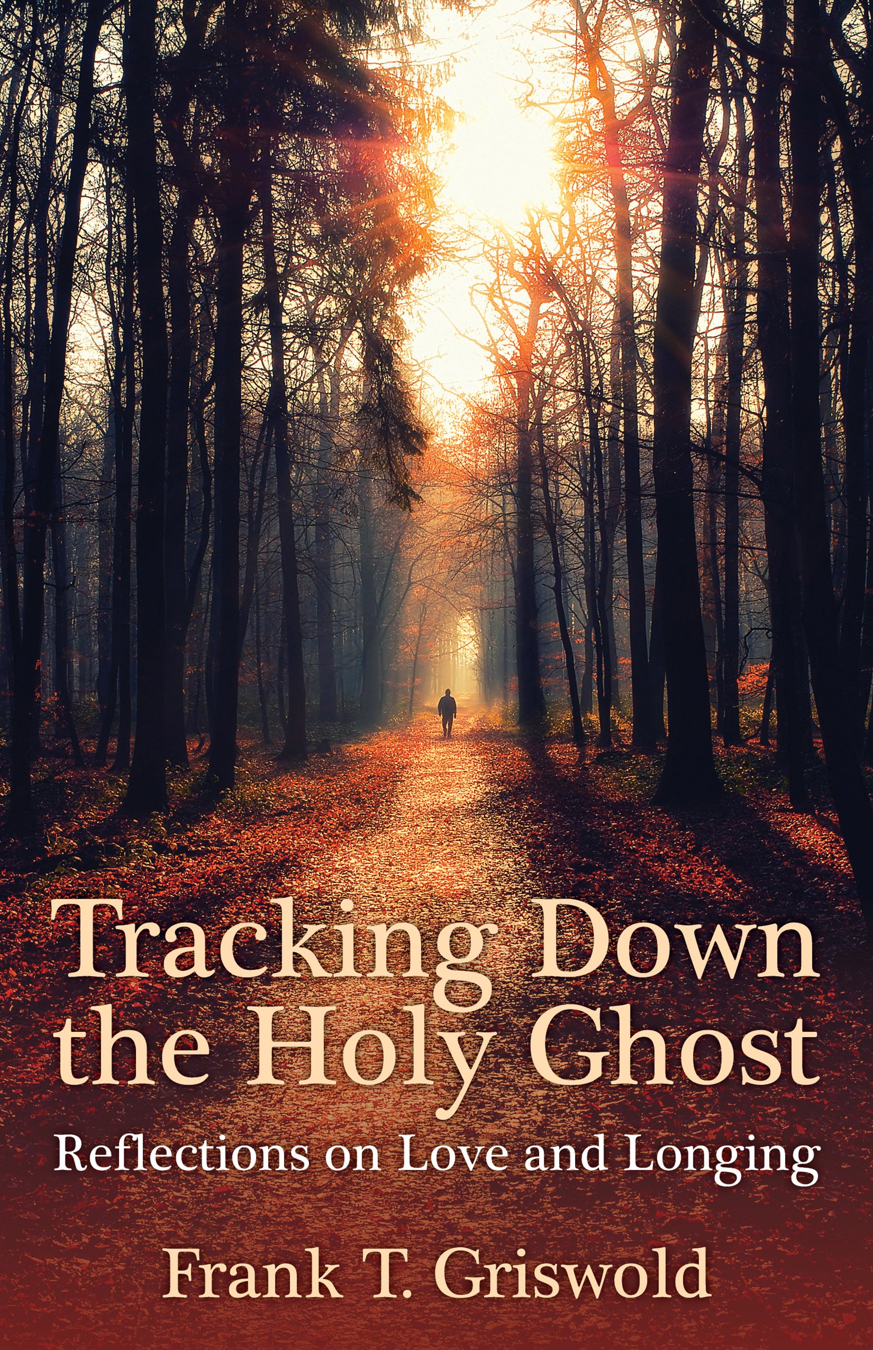 Cover image for Tracking Down the Holy Ghost, isbn: 9780819233653