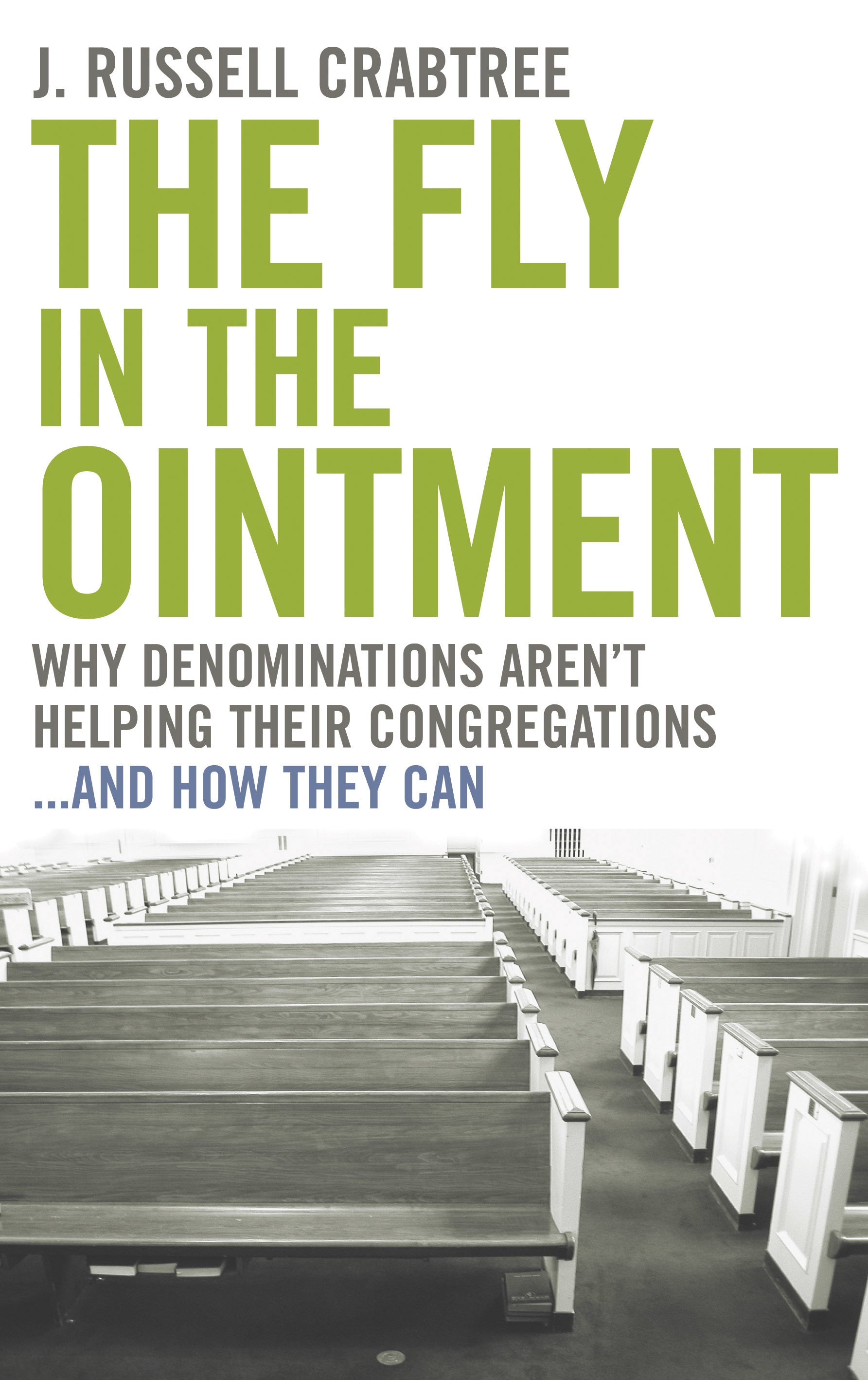 Cover image for The Fly in the Ointment, isbn: 9780898696066