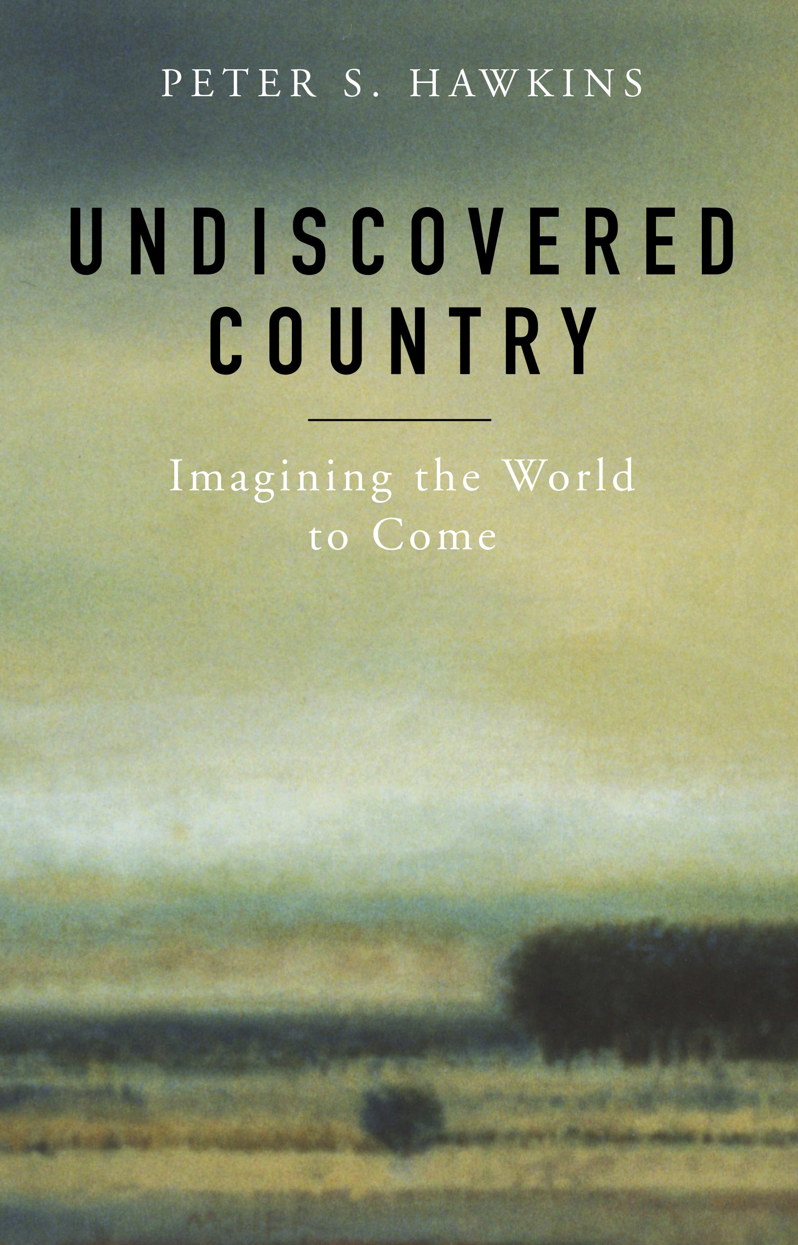 Cover image for Undiscovered Country, isbn: 9781596271074