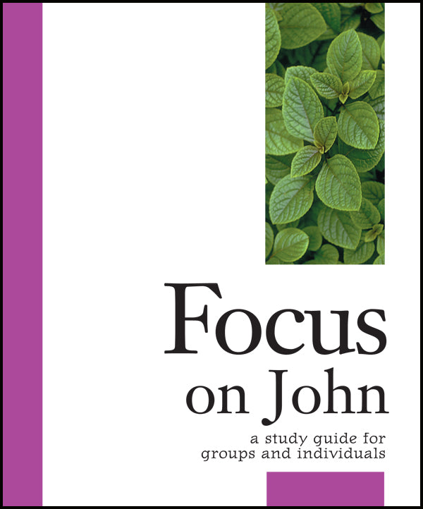 Cover image for Focus on John, isbn: 9781606741764
