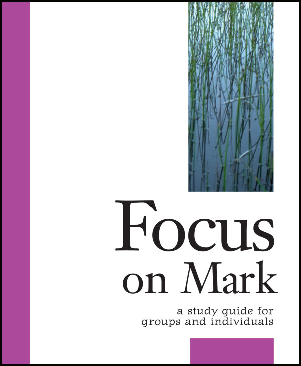 Cover image for Focus on Mark, isbn: 9781606741788