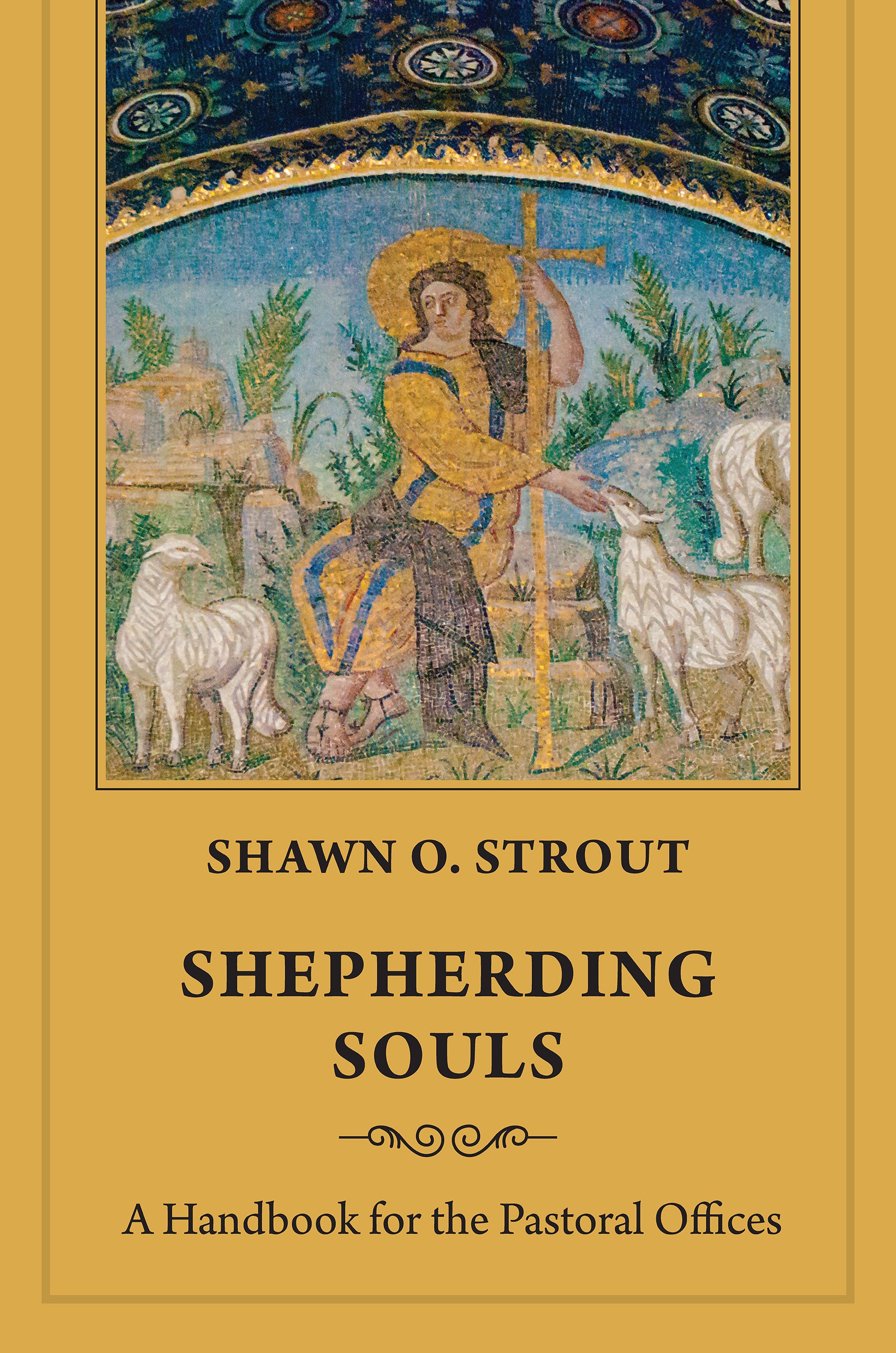 Cover image for Shepherding Souls, isbn: 9781640656581