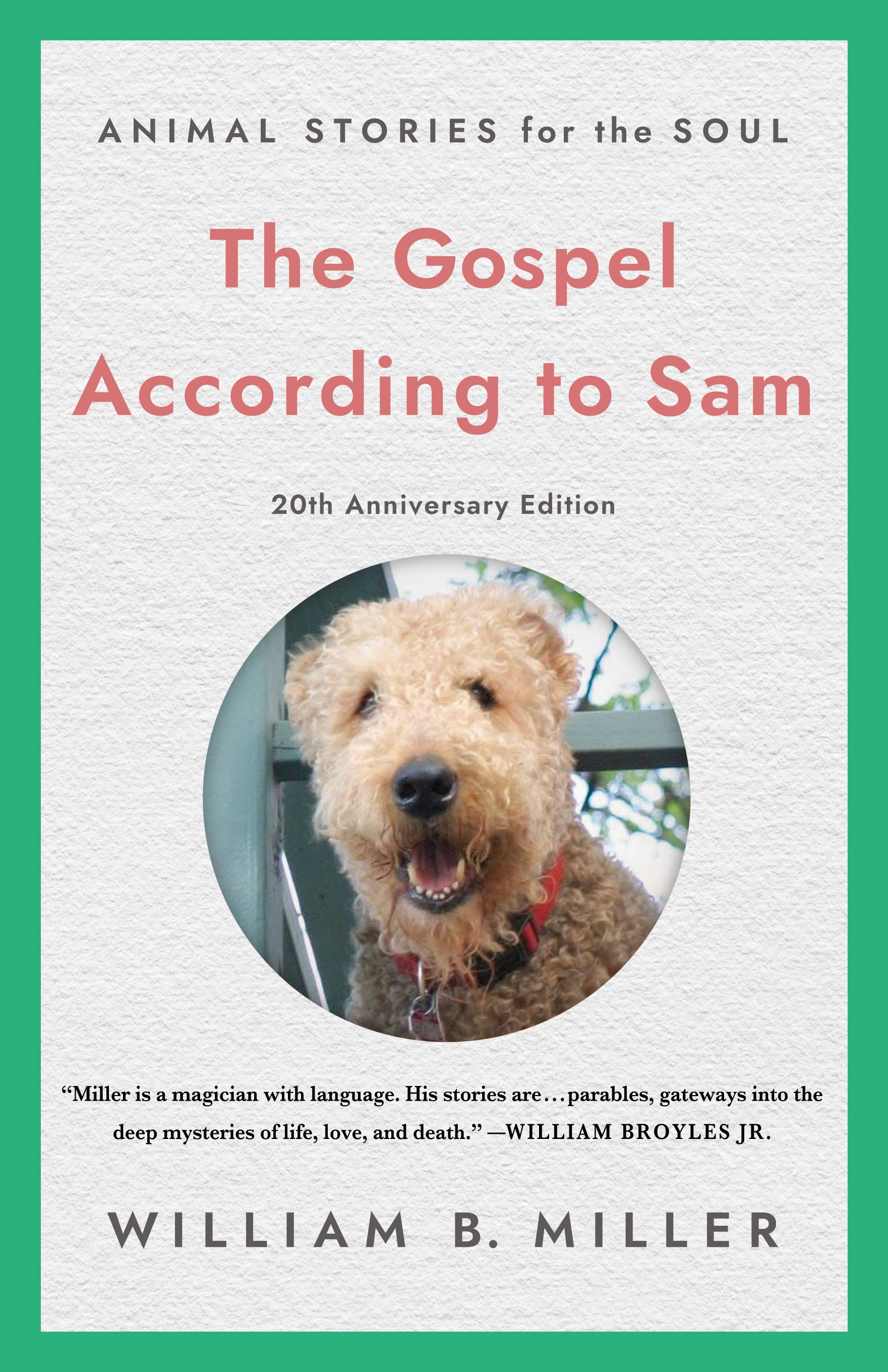 Cover image for The Gospel According to Sam, isbn: 9781640658899