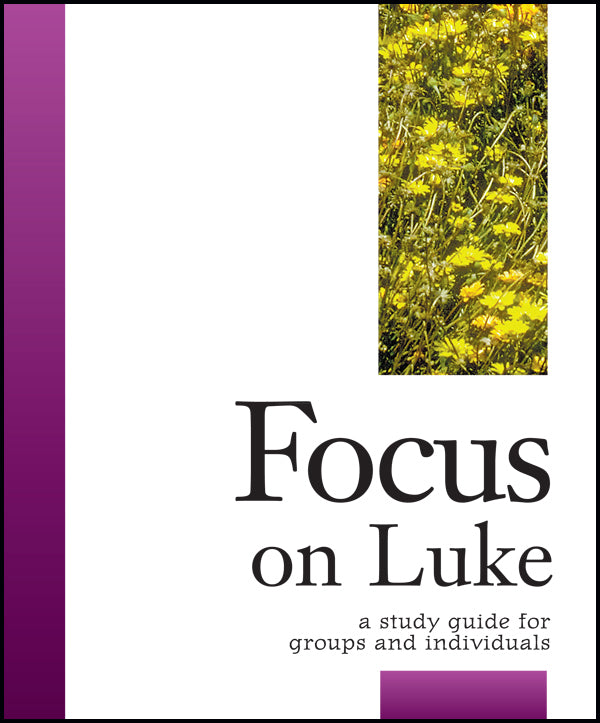 Cover image for Focus on Luke, isbn: 9781889108674