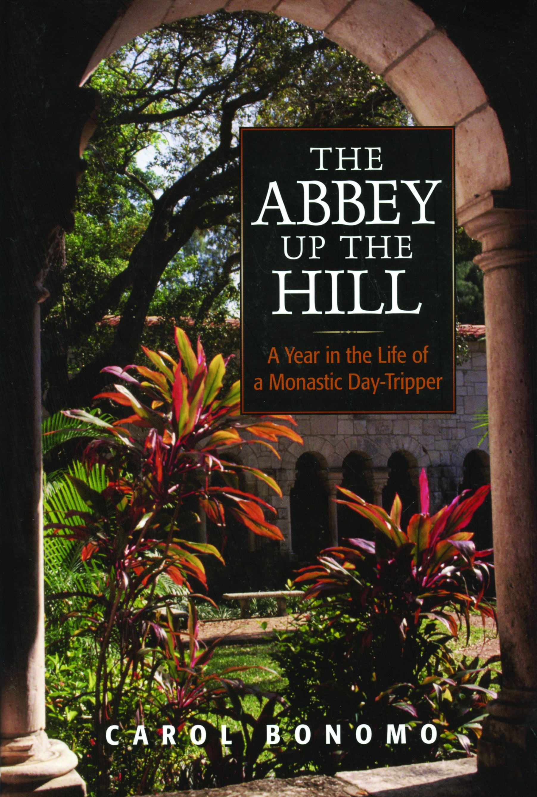 Cover image for The Abbey Up the Hill, isbn: 9780819219121