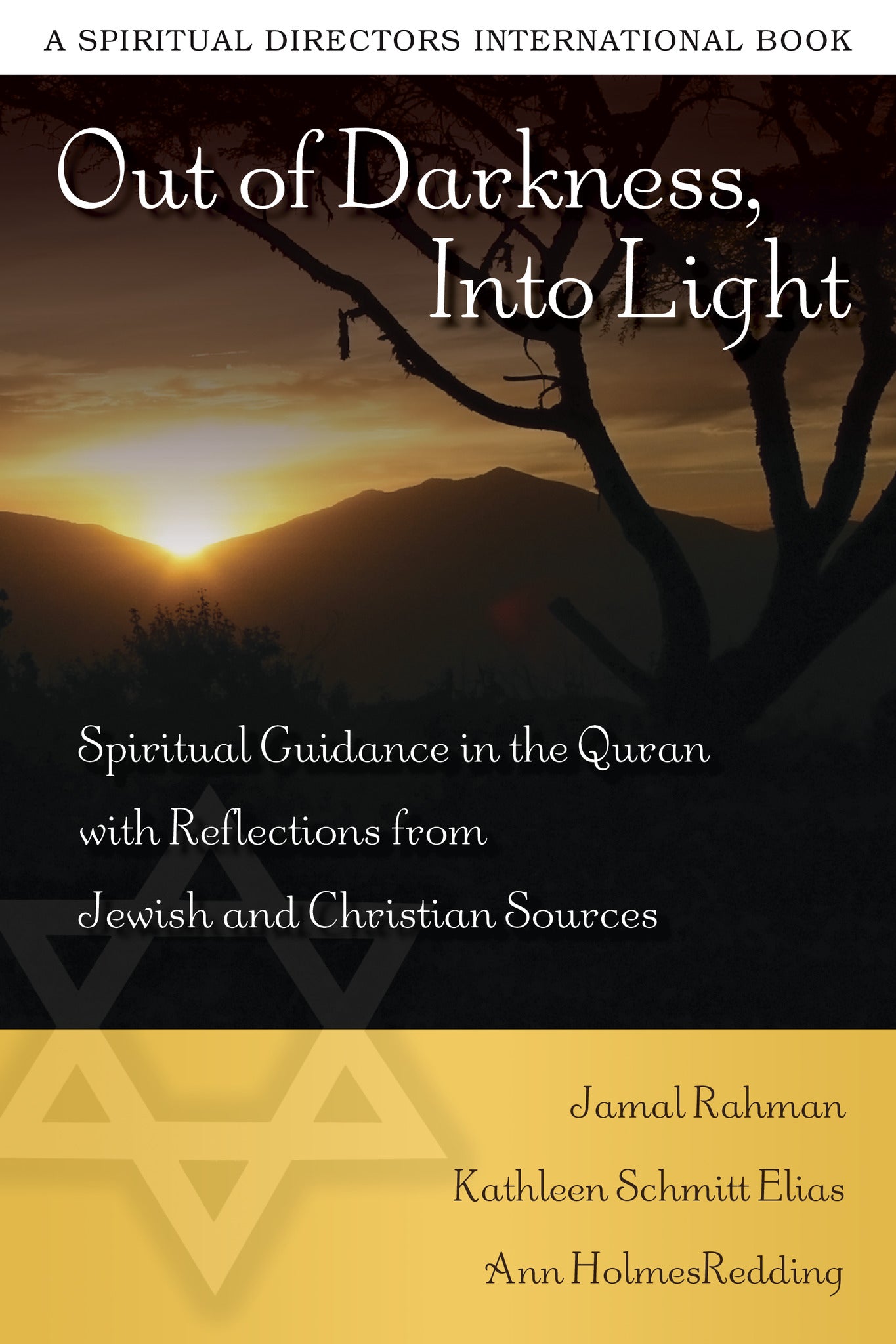 Cover image for Out of Darkness, Into Light, isbn: 9780819223388