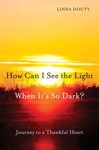 Cover image for How Can I See the Light When It's So Dark?, isbn: 9780819226723