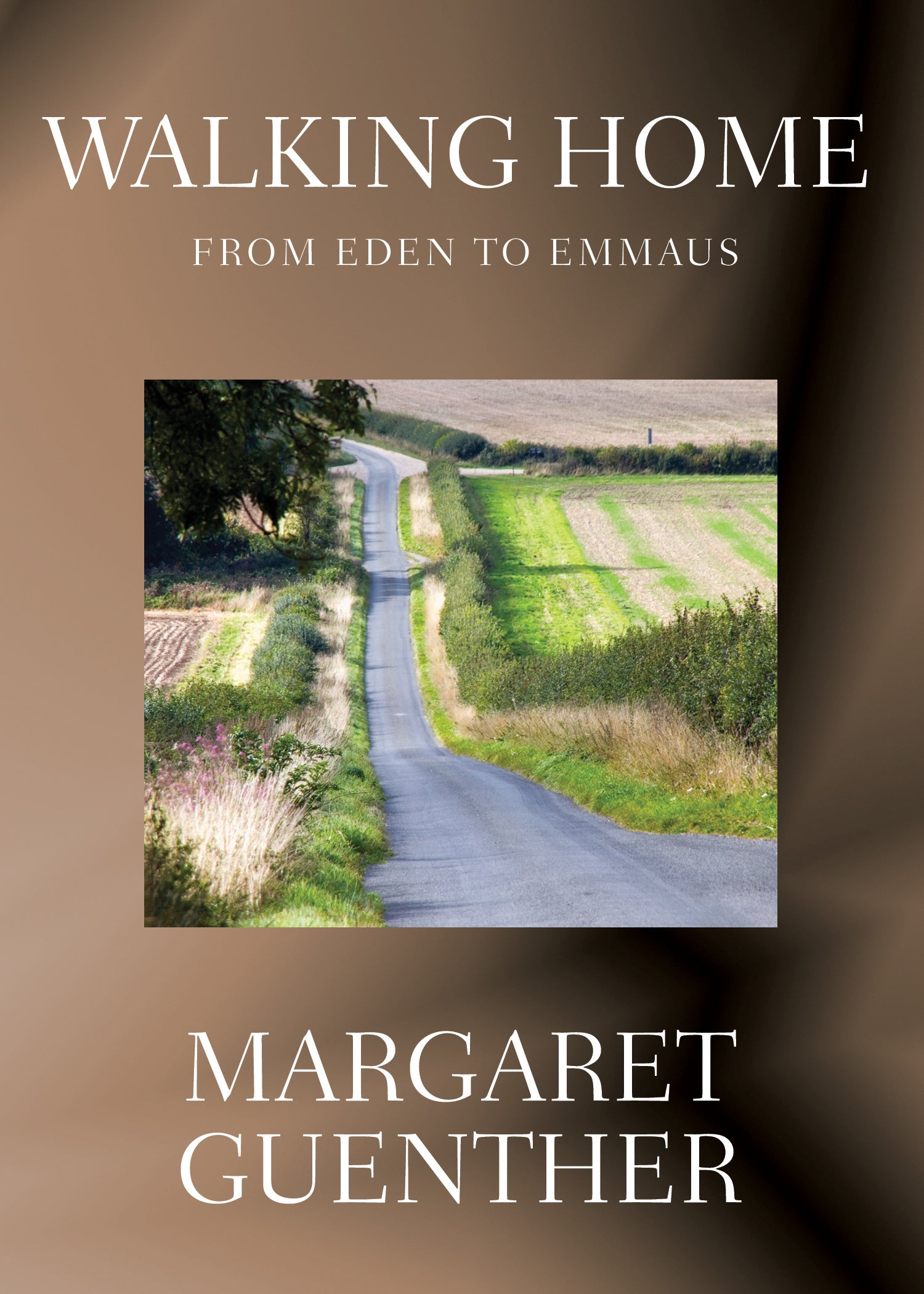 Cover image for Walking Home, isbn: 9780819227492