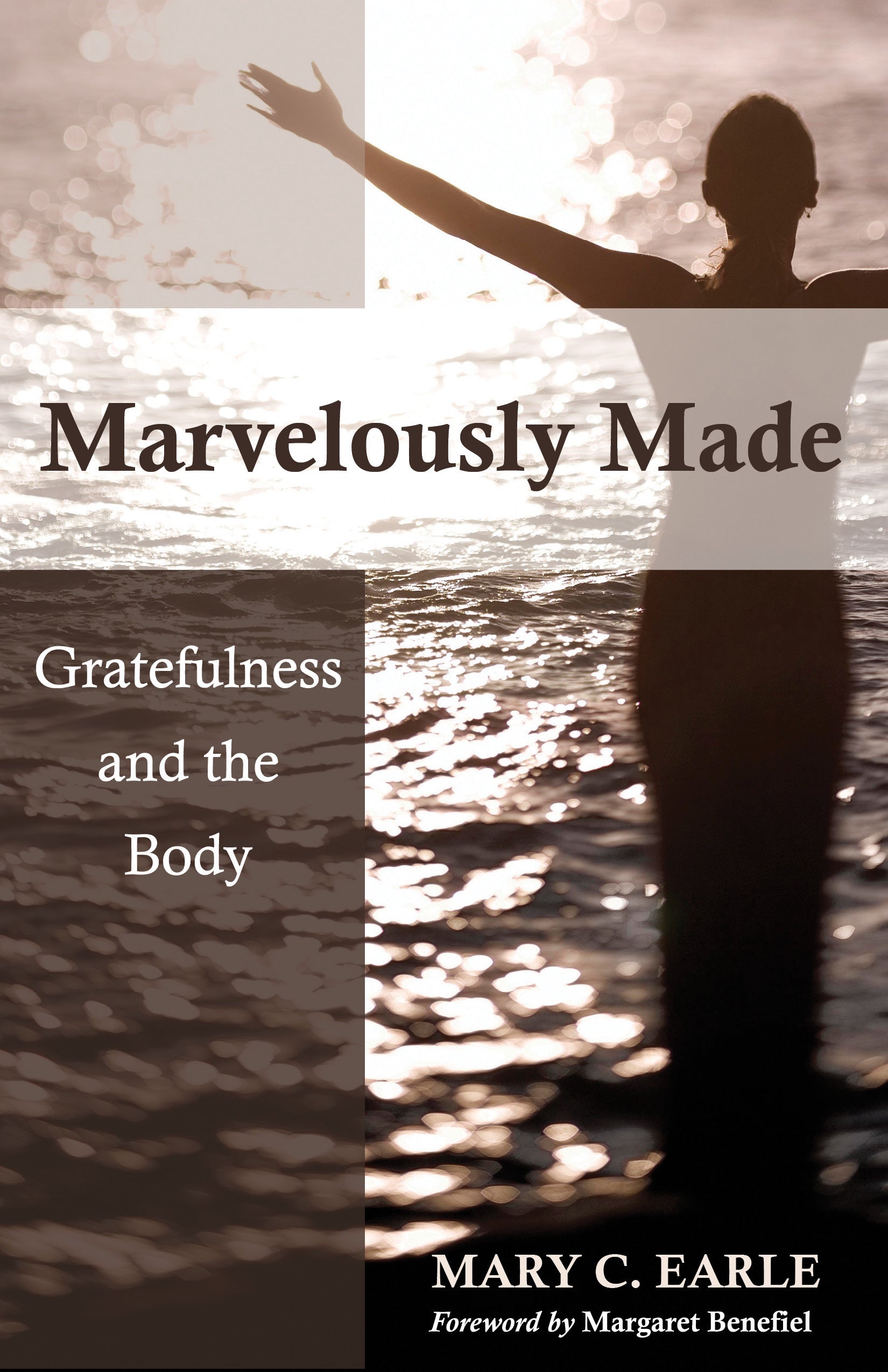 Cover image for Marvelously Made, isbn: 9780819227621