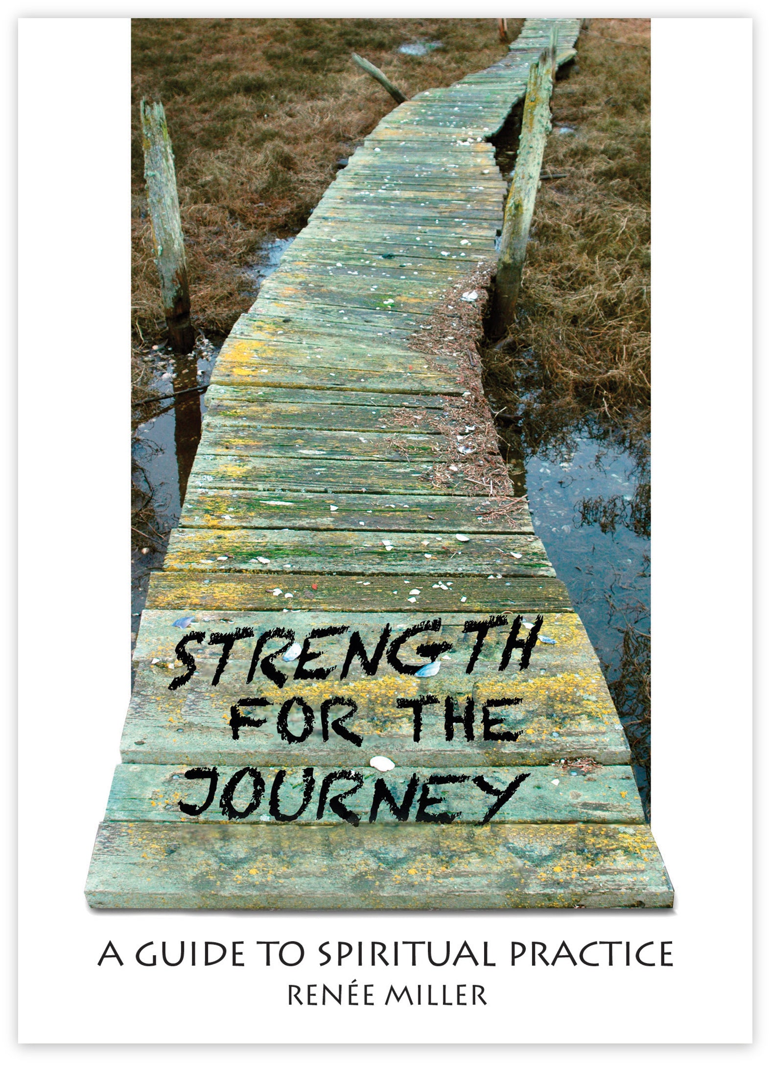 Cover image for Strength for the Journey, isbn: 9780819227973