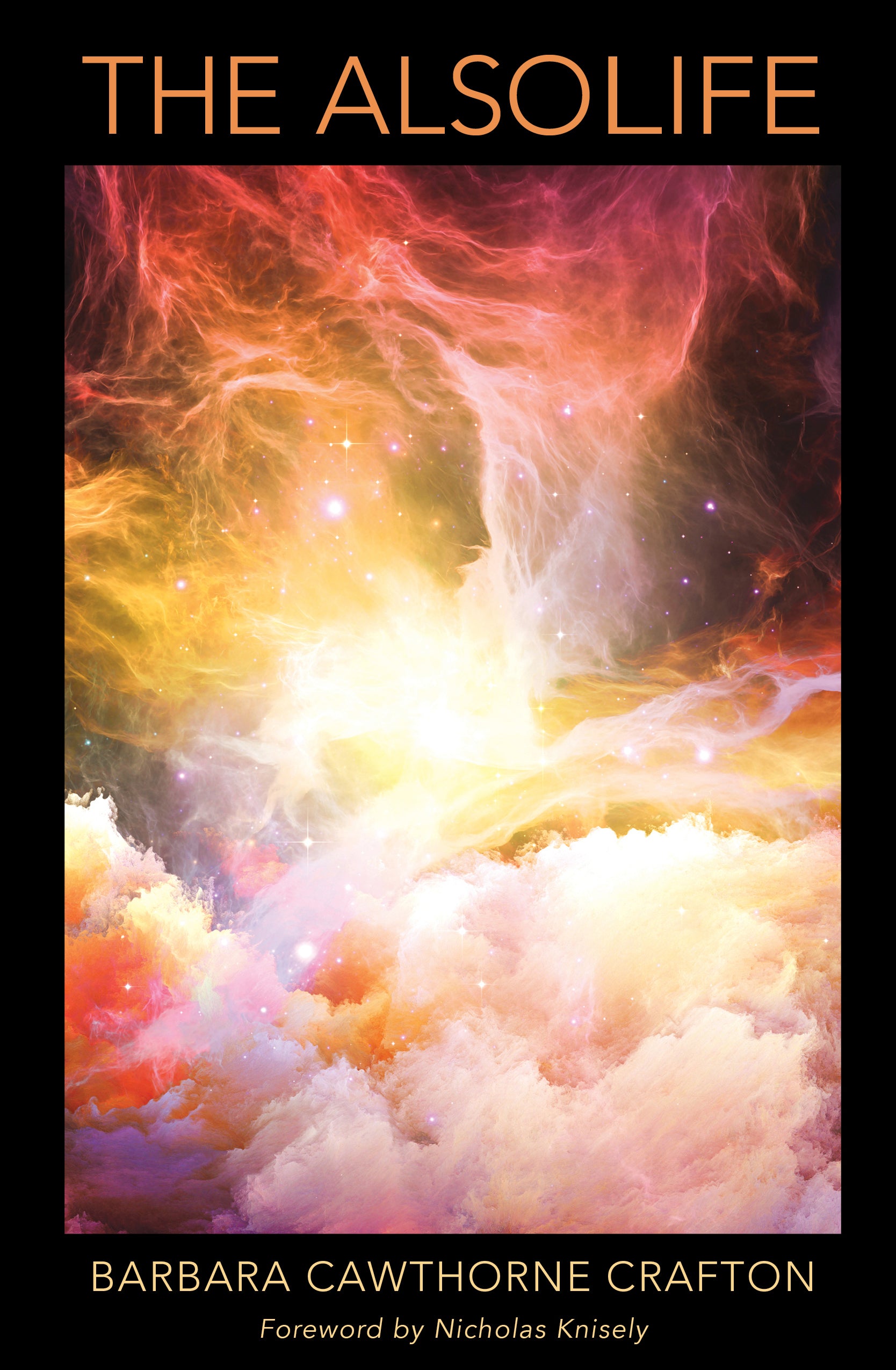 Cover image for The Also Life, isbn: 9780819232892