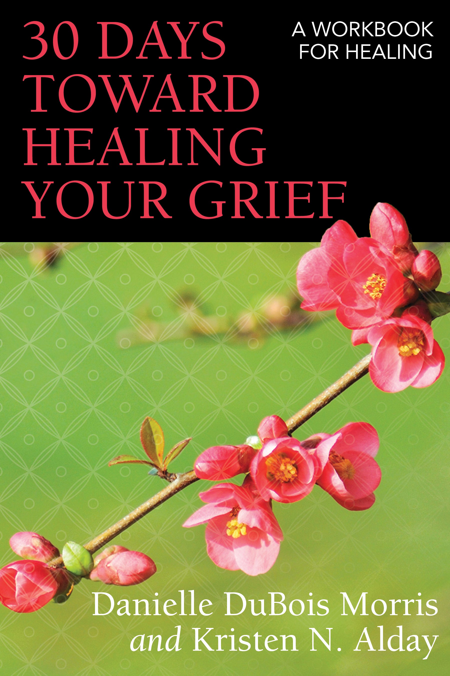 Cover image for 30 Days toward Healing Your Grief, isbn: 9780819233271