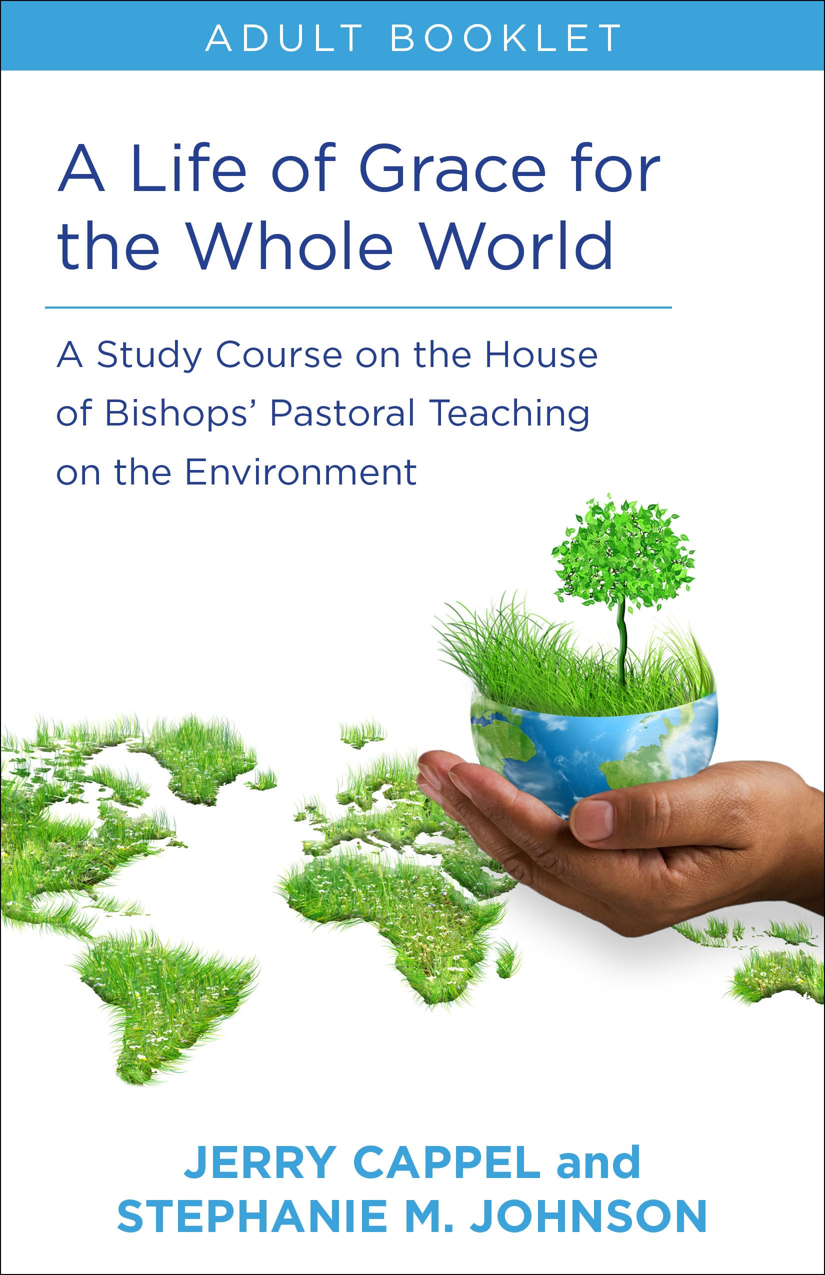 Cover image for Life of Grace for the Whole World, Adult book, isbn: 9780819233790