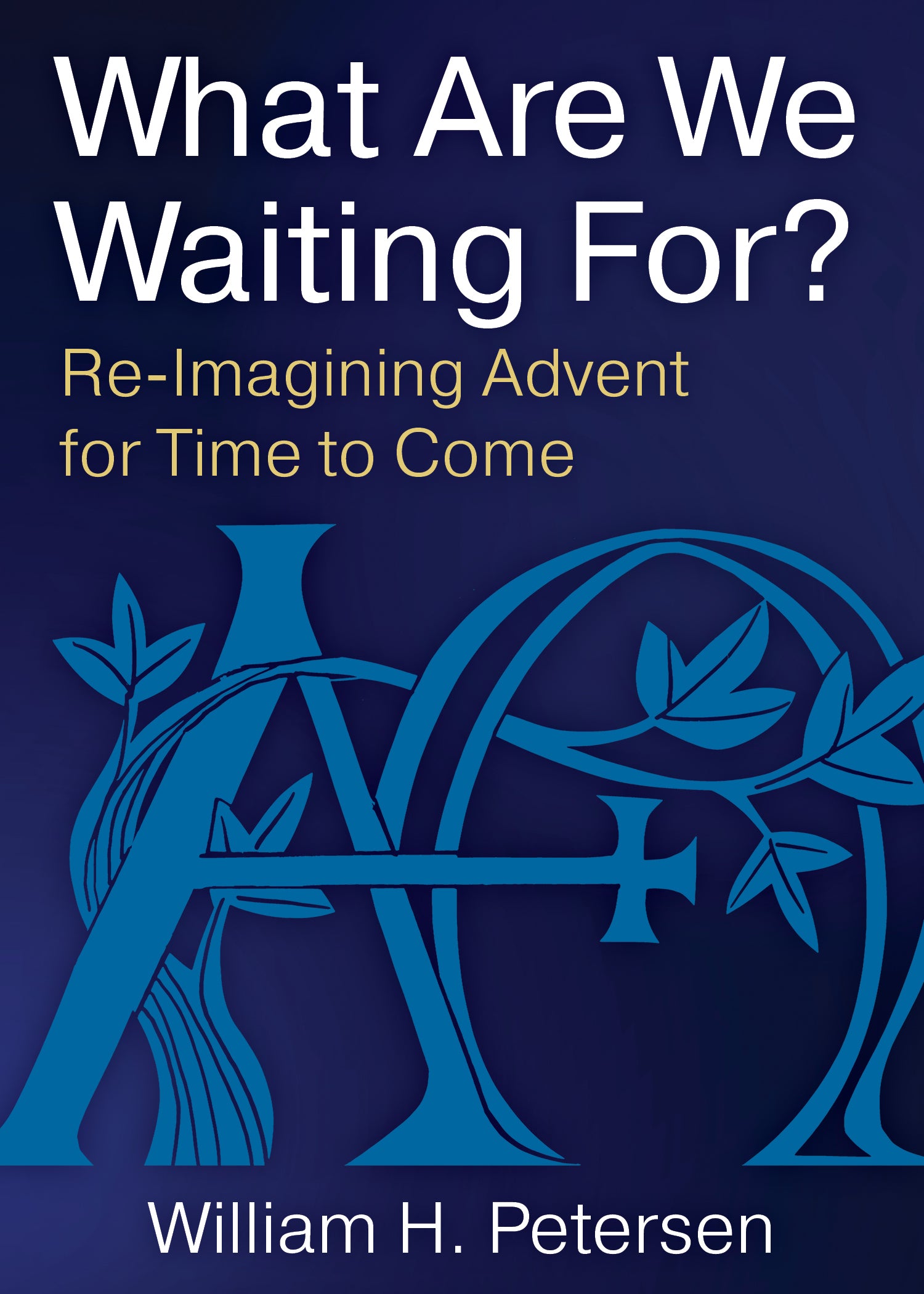 Cover image for What Are We Waiting For?, isbn: 9780898690385