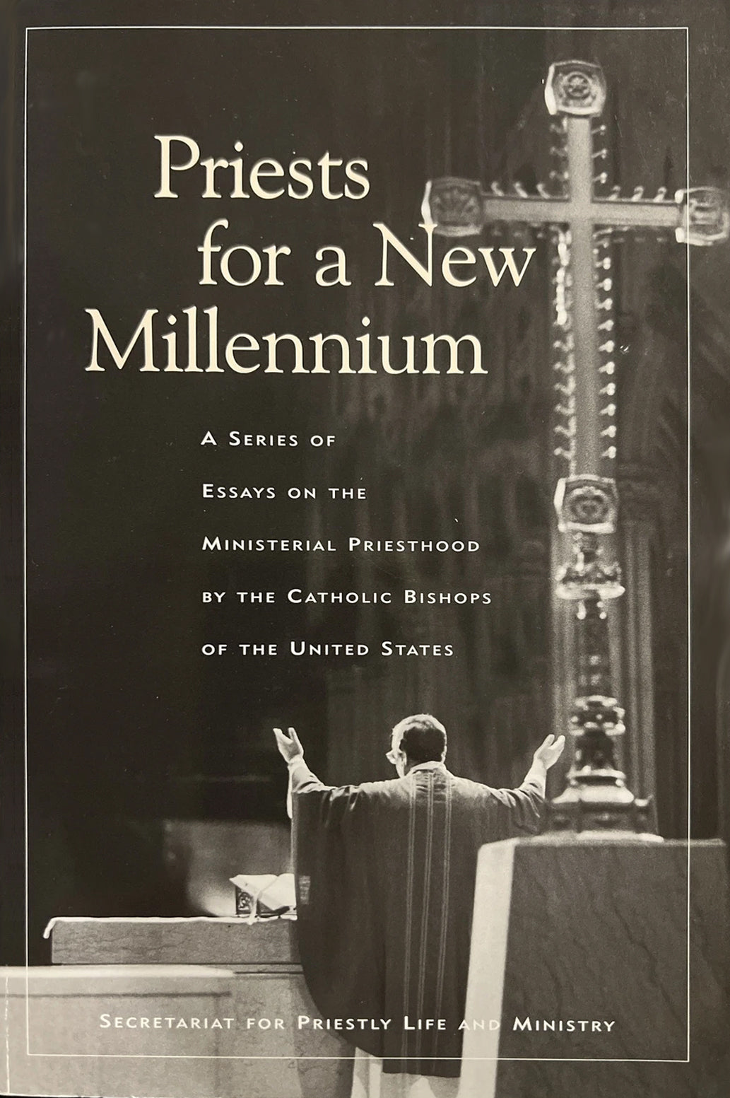 Cover image for Priesthood in a New Millennium, isbn: 9780898697445
