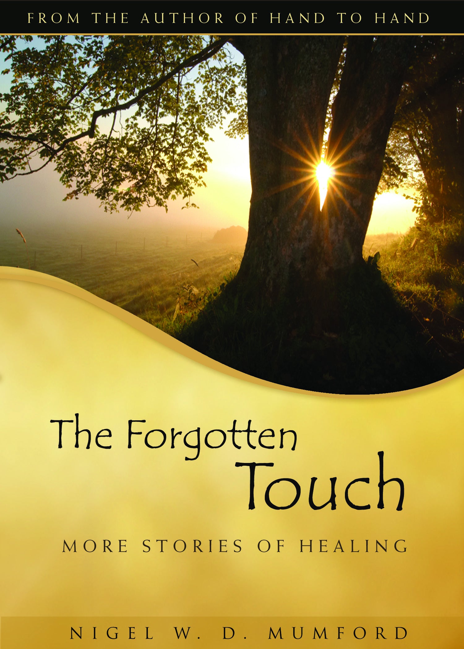 Cover image for The Forgotten Touch, isbn: 9781596270664