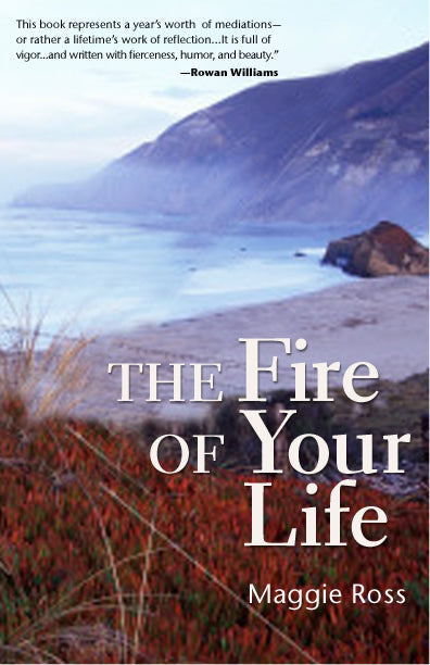 Cover image for The Fire of Your Life, isbn: 9781596271760