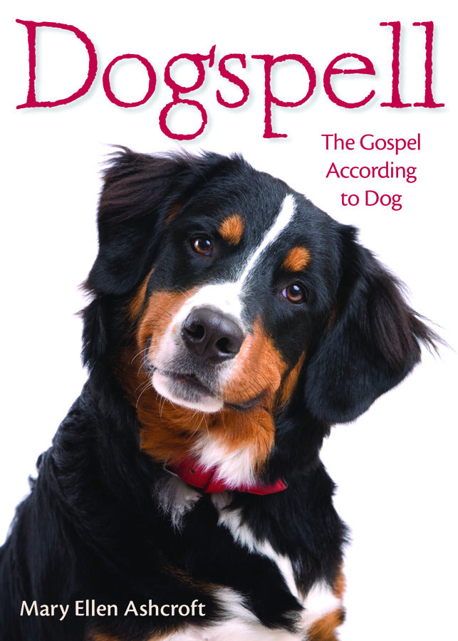 Cover image for Dogspell, isbn: 9781596271999