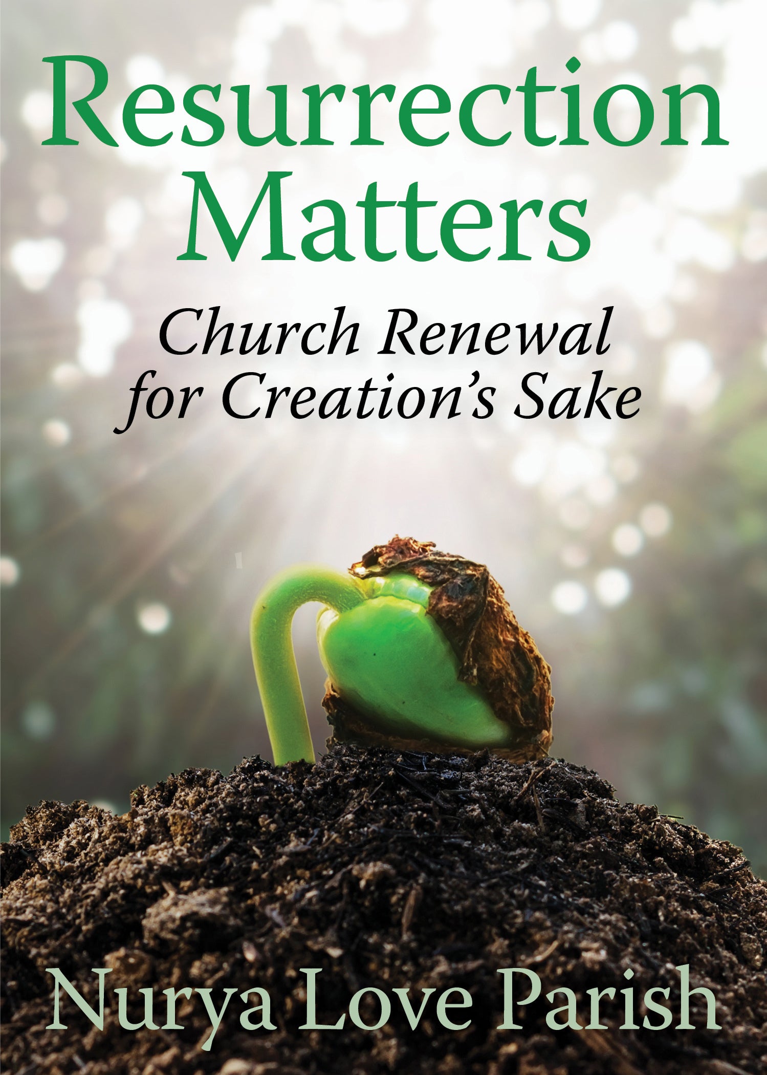 Cover image for Resurrection Matters, isbn: 9781640650145