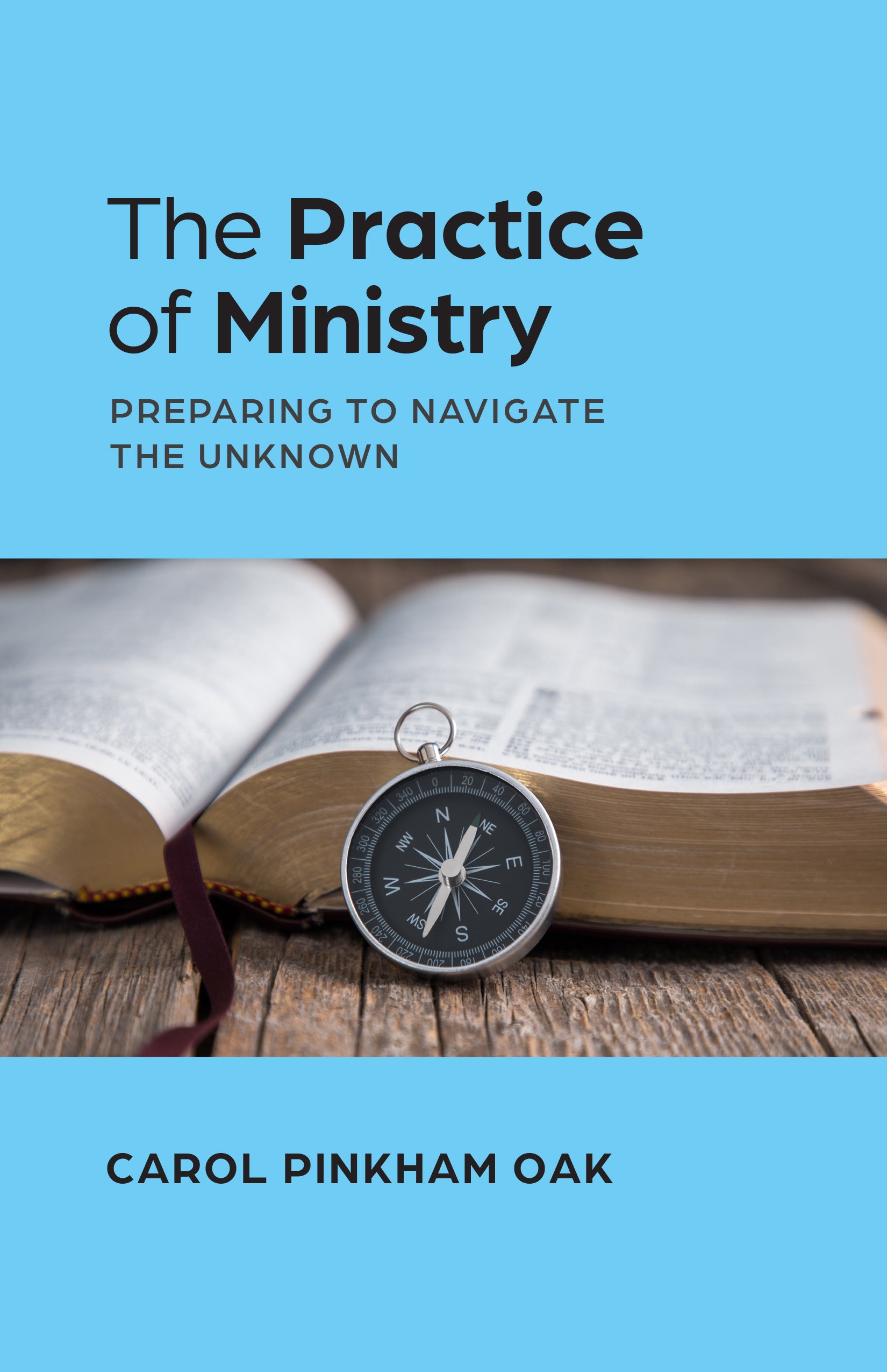 Cover image for The Practice of Ministry, isbn: 9781640658813