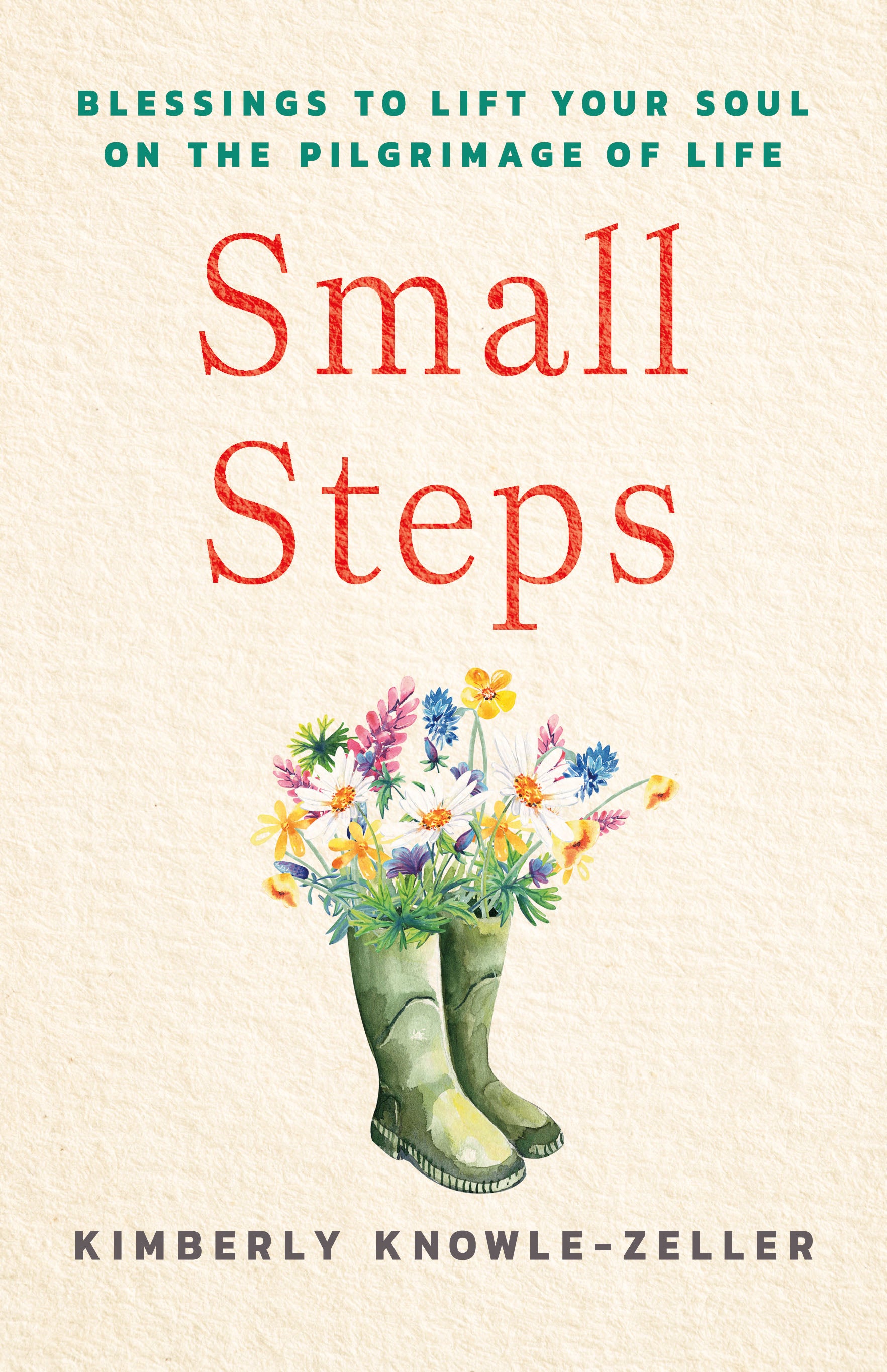 Cover image for Small Steps, isbn: 9781640659520